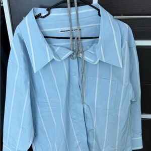 Alexander Wang Blue Striped Shirt